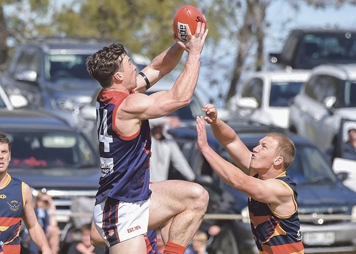 YPFL: Action-packed prelim finals post image