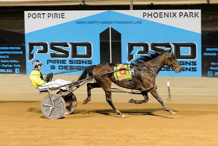 Port Pirie harness racing post image