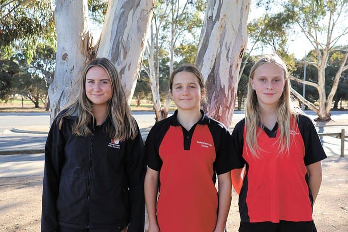 Lovebirds on the Yorke post image