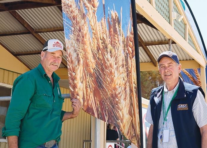 Agricultural Bureau of SA undergoes refresh post image