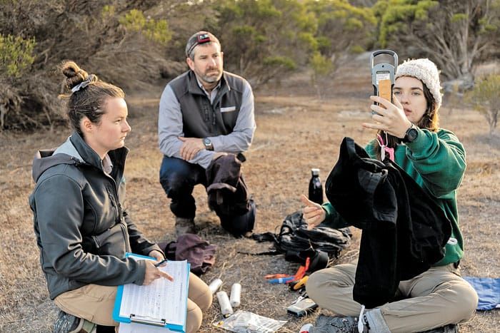 BABY BOOM - Bettong breeding a sign of success post image