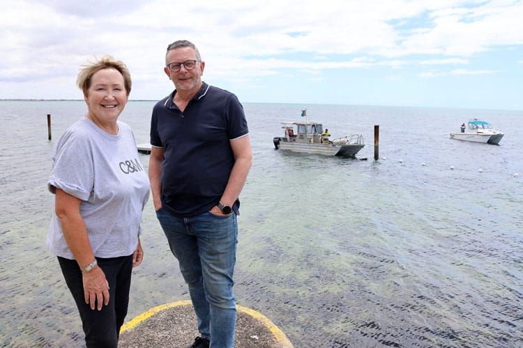 Edithburgh shark barrier installed post image