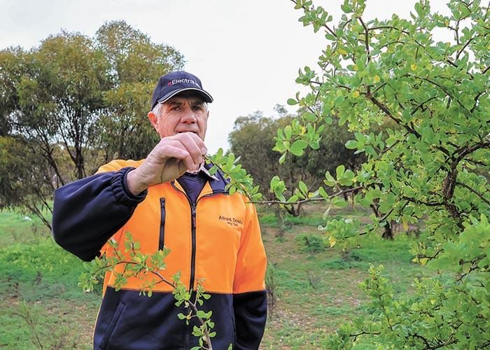 BWC questions value of landscape board post image