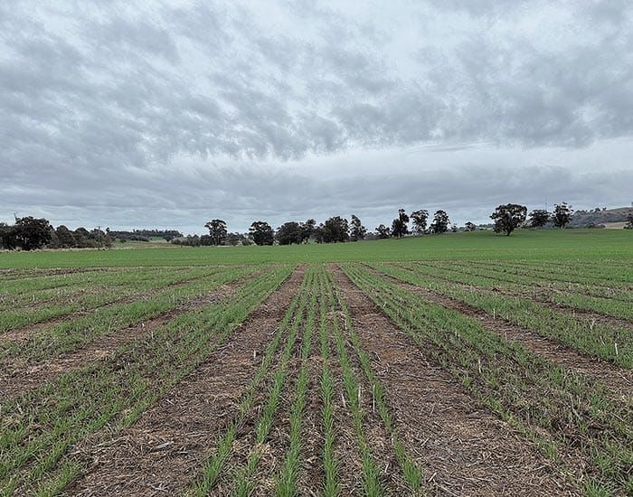 $17m research project to unlock fertiliser potential post image