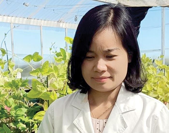 Growing better beans faster post image