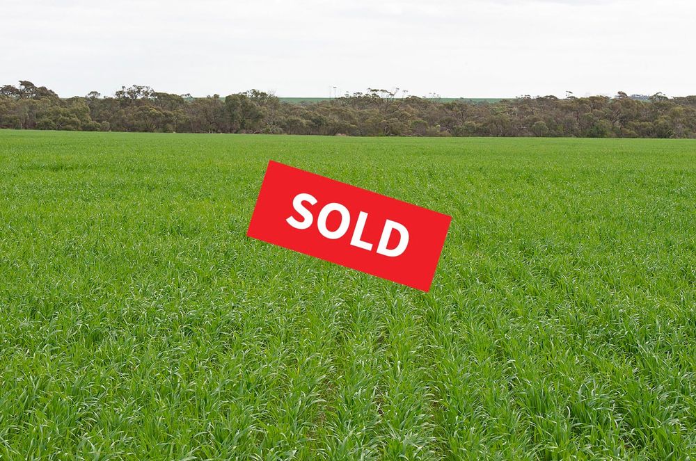 Auction draws another sale post image
