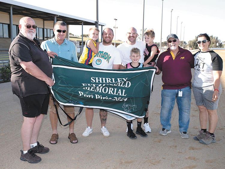 YP harness racing news post image
