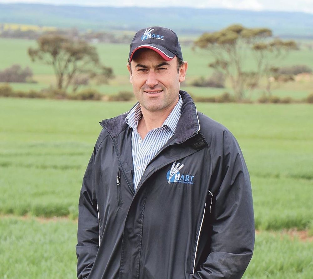 Getting the Crop In again post image