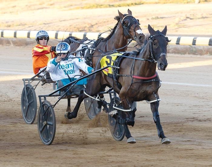 Port Pirie hosts YPHRC Kadina Cup post image