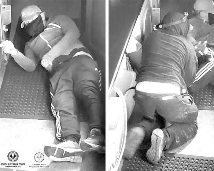 Local charged after fatal crash post image