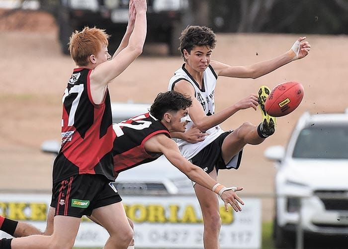 Cougars consolidate minor premiership post image