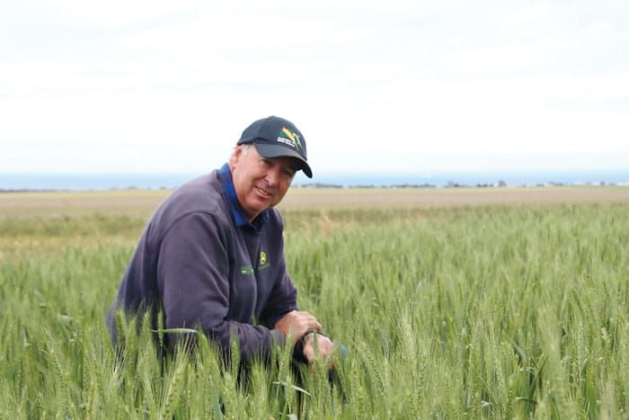 Showers bring crops growing hope post image