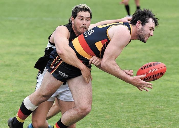 Champion Crows too strong for persistent Pies post image