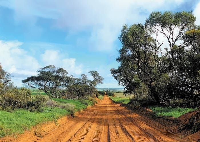 Bute makes the cut post image