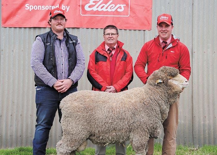 Orrie Cowie hosts 58th annual sale post image