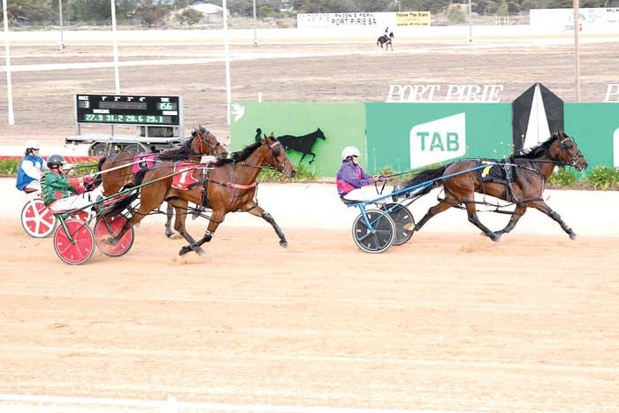 YP Harness Racing Club news post image