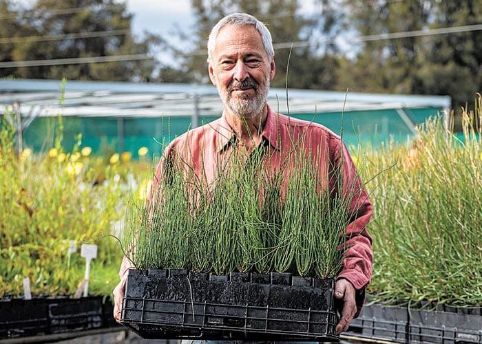 Tree Scheme makes dreams come true post image