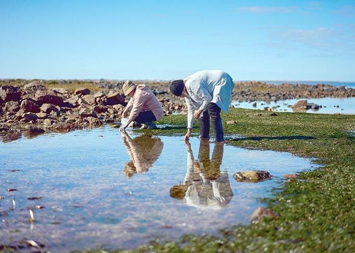 Narungga artists awarded post image