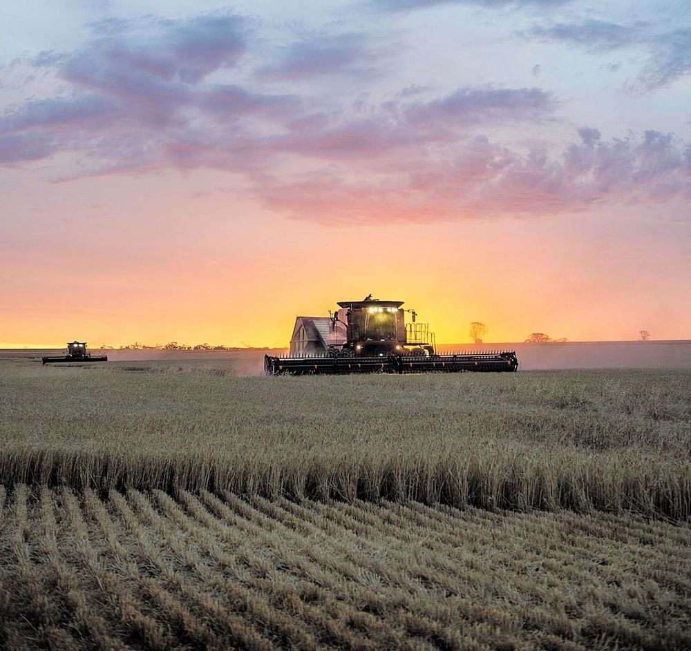Grain harvest tipped to be South Australia’s fourth best on record post image