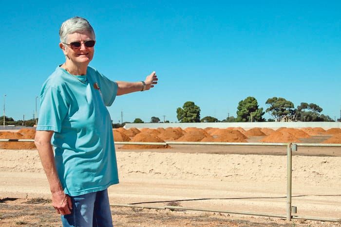 Kadina show society gets working post image