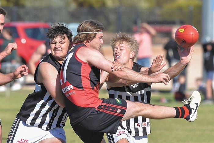YPFL: Magpies draw Blood post image