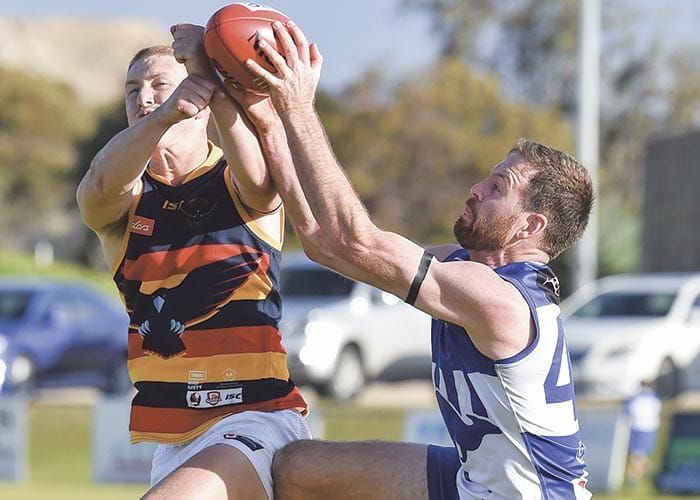 Crows fly high into second half post image