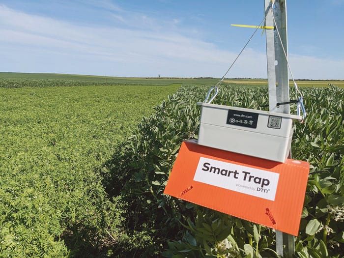 Counting bugs in SYP crops post image