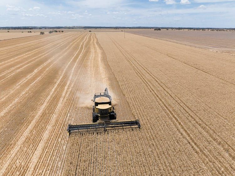 Prime location in continuous crop country post image