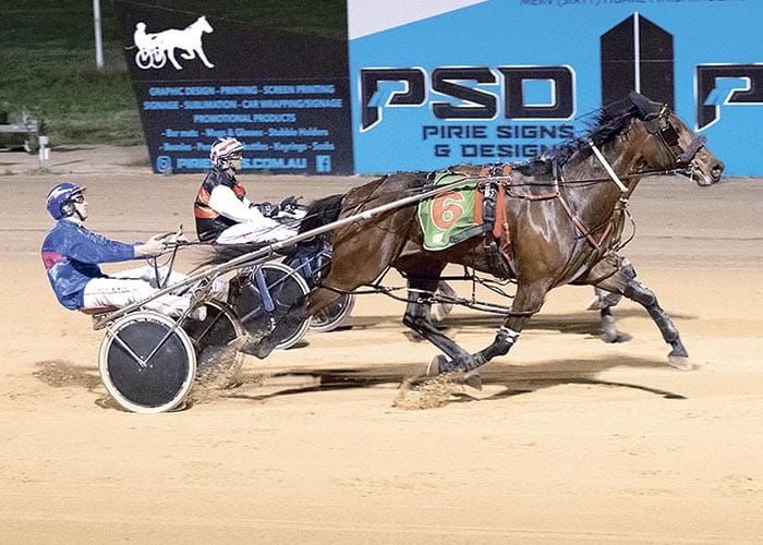 YP Harness Racing Club news post image