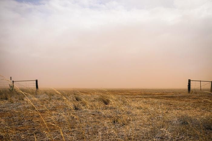 NFF urges PM to focus on drought post image