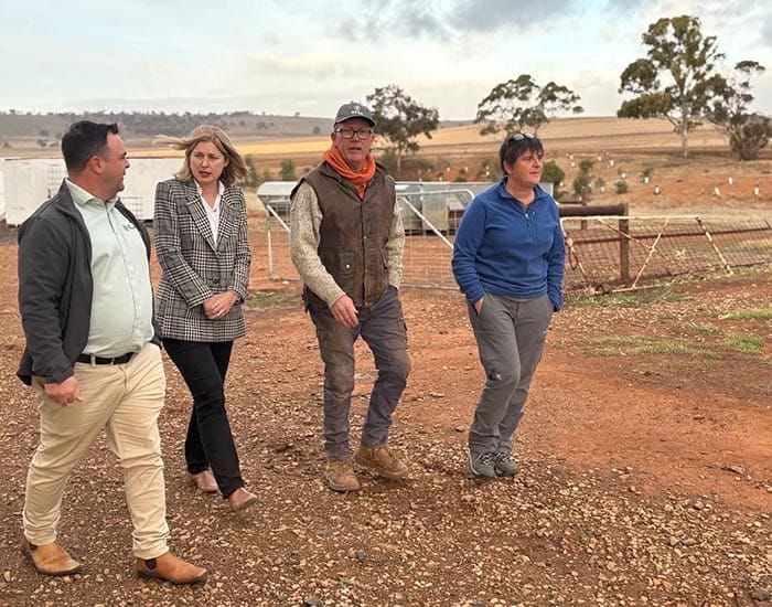 Federal drought support falls short, say SA grain producers post image