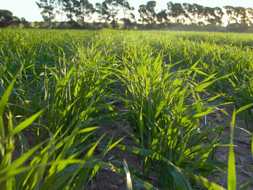 Farmers to PM: We want CO2 emissions cut post image