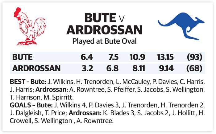YPFL: Bute secures win against Ardrossan post image