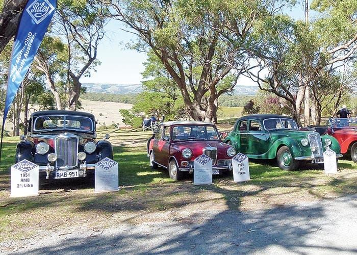 Fun, fashion at the races post image