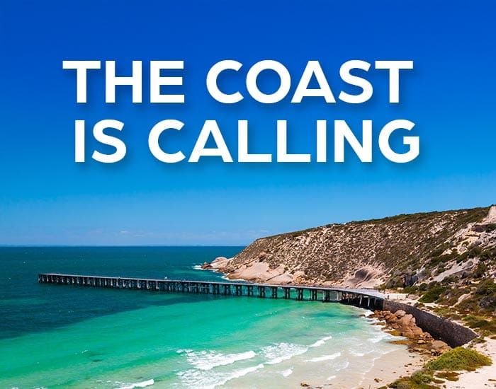 Algae tourism vouchers announced post image