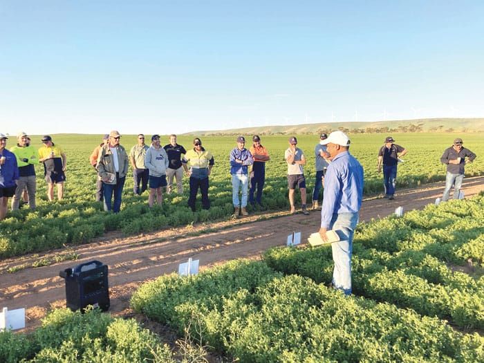NYP grain growers discuss key topics post image