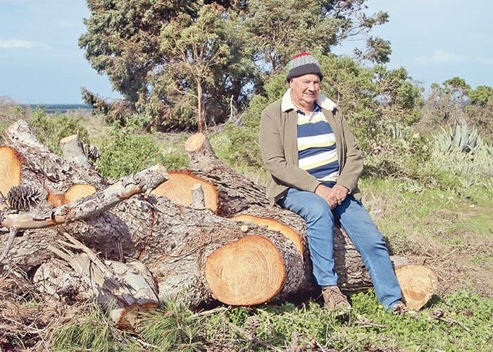 Stansbury weeds turfed out post image