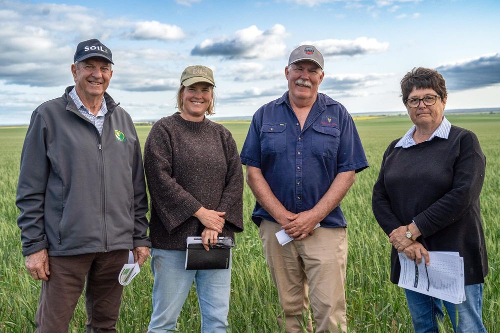 New funding model, agreements deliver $3M-plus for grain research projects post image