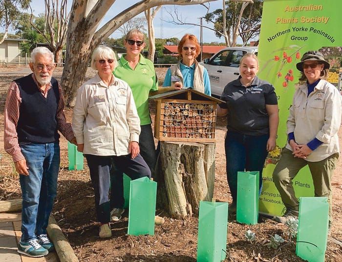 Bees BnBs project complete post image
