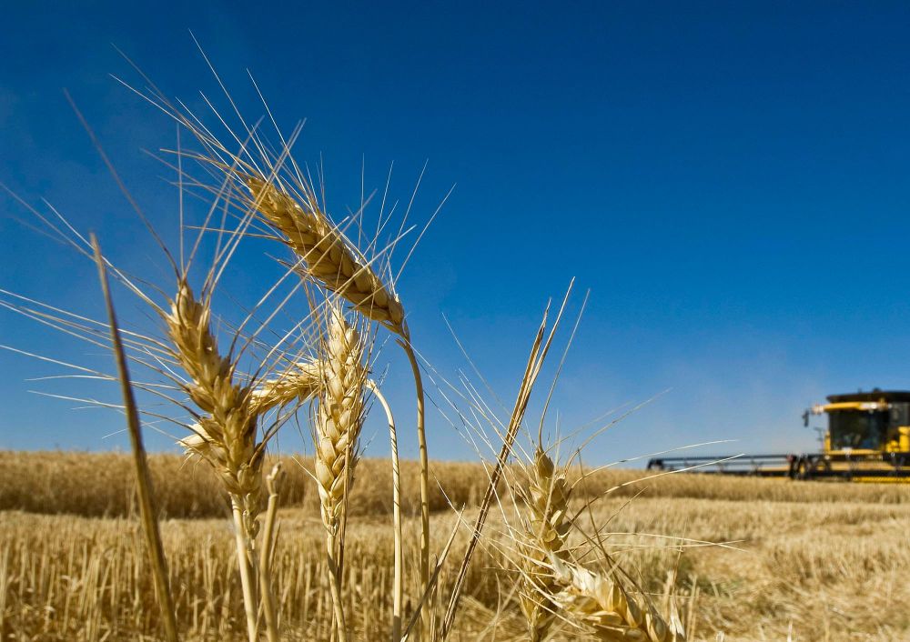 South Aus Budget to benefit ag post image