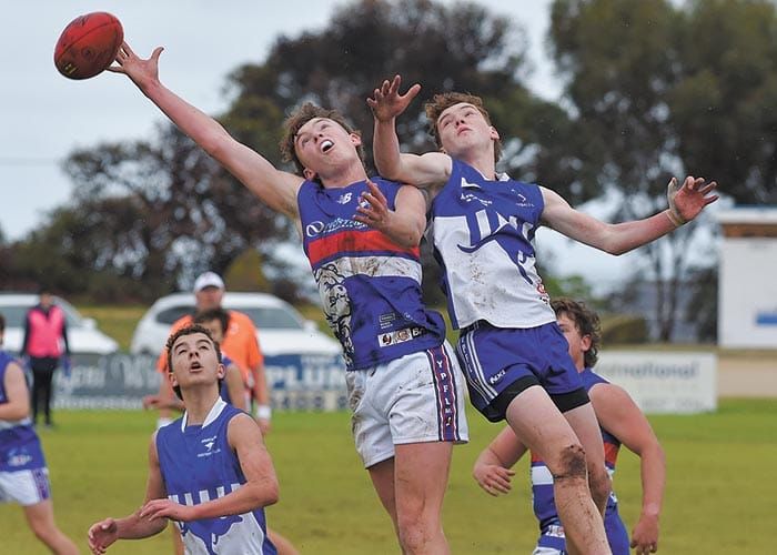 Dogs defeated by Roos post image