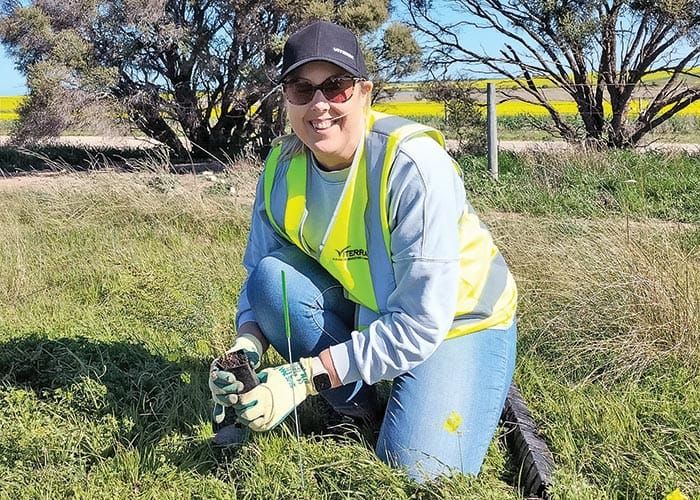 Trial aiming to boost flies for snail control post image