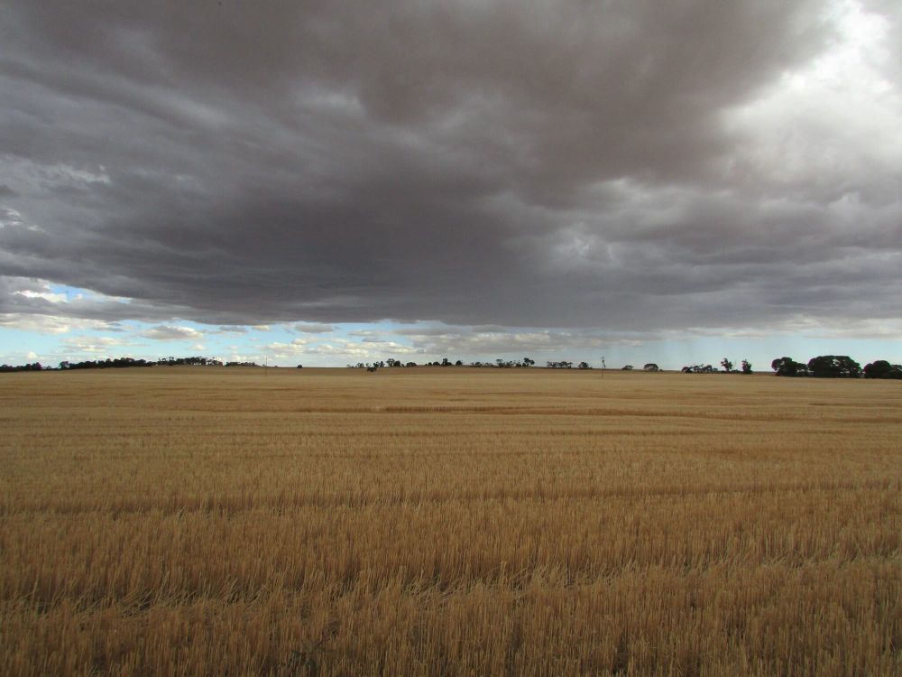 Improving the use of seasonal forecasting post image