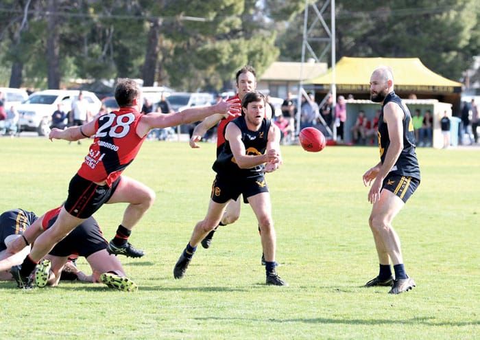 NAFA: Eagles one win from three-peat post image