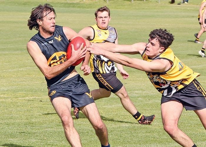 NAFA... Eagles return to winning ways post image