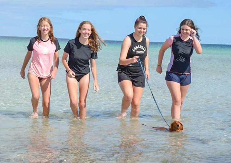 Keep your pets safe during high summer temperatures post image