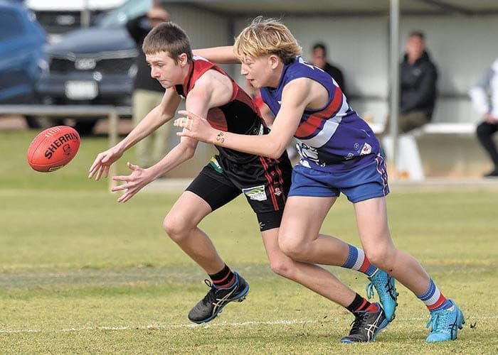 Bloods win battle of the dogs post image
