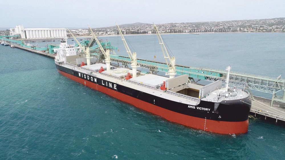 Grain in strong demand with 1.8 million tonnes headed for export post image