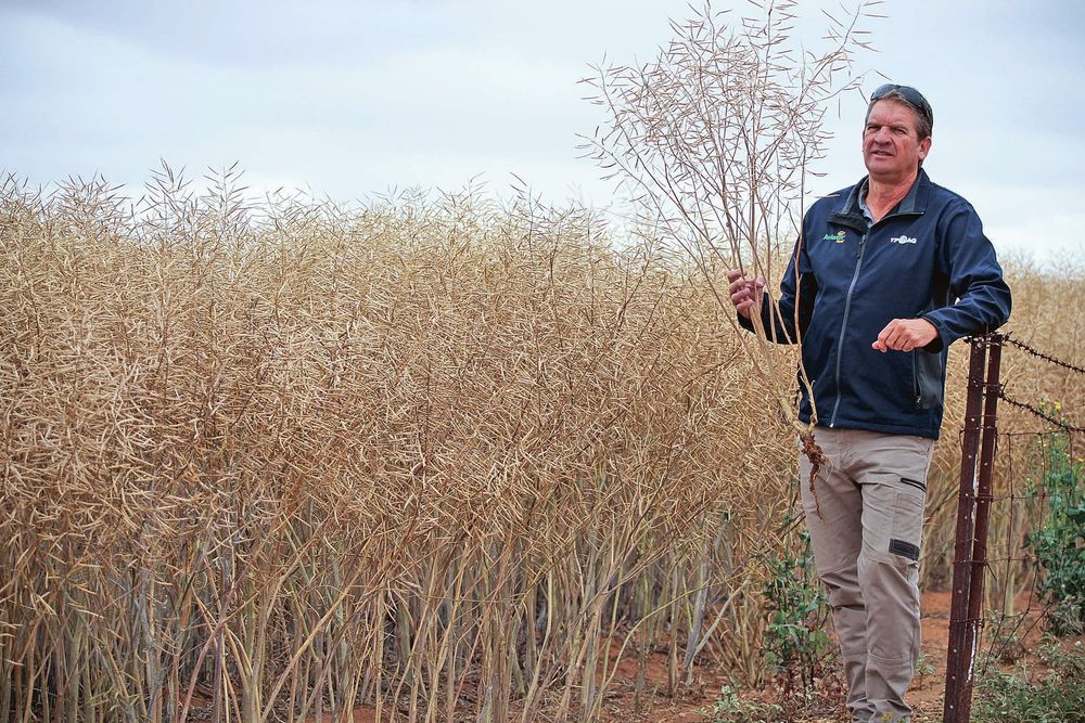 DECISION FINAL post image