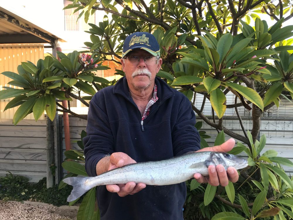Boat club whiting comp post image